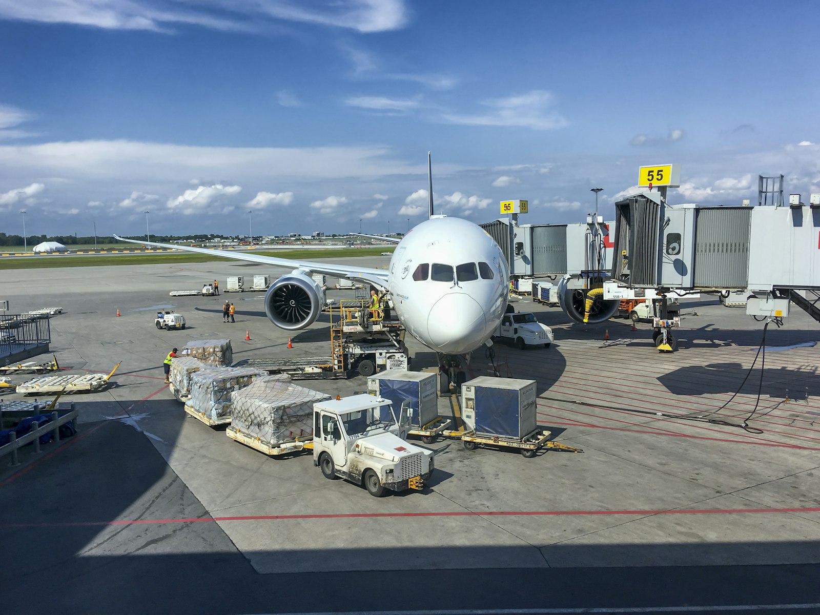Netted cargo pallets and tugs on the airport apron